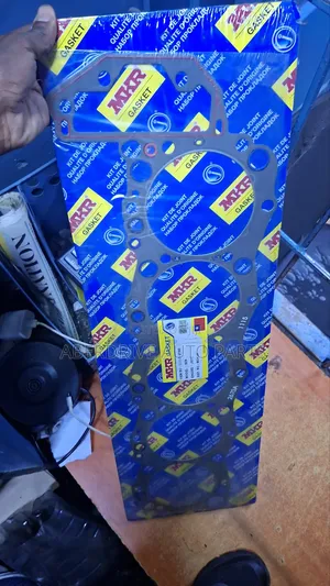 Head Gasket Hino 500