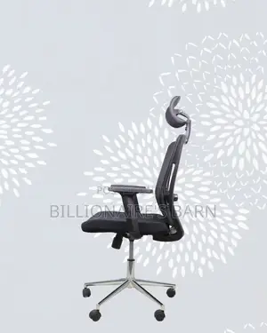 Ergonomic Mesh Task Chair • Neat Professional Look.