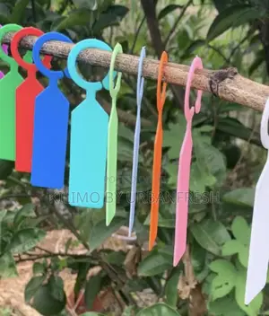 Plastic Plants Tags: Heart-Shaped, Hanging ,