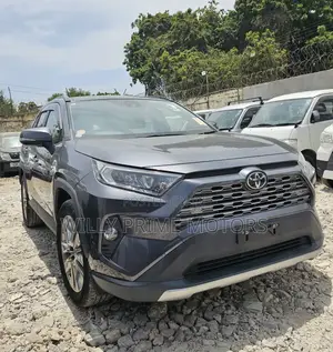 Toyota RAV4 2019 Gray