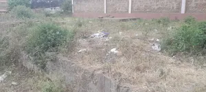 Commercial Plot