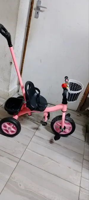 Tricycle With Push Handle