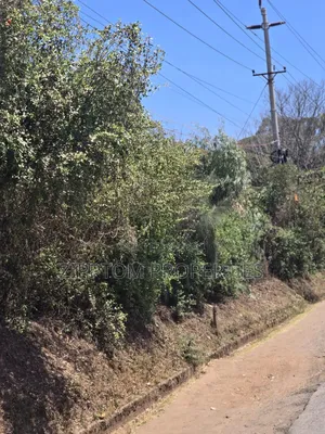 An Actre Land To Lease In Karen