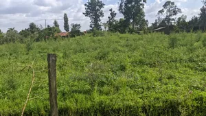 One Acre Land for Sell in Amuka Center Transzoia Kitale