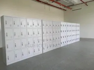 12 Door Lockable Cabinet