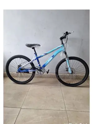 Blue BMX Bike Size 24