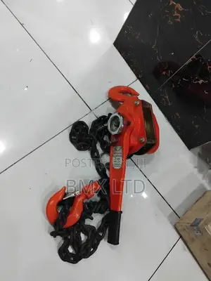 Professional Lifting Lever Block Chain Hoist