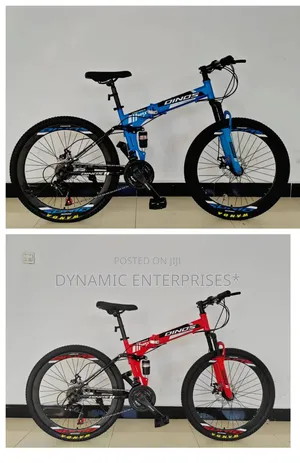 Dino's Foldable Mountain Bike