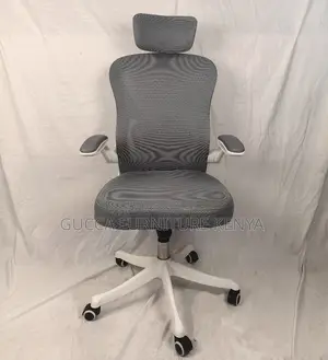 Mesh Executive Ergonomic High-back Chair