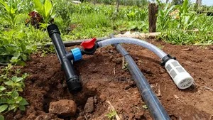 Dosing Pump