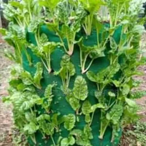 Vertical Grow Bags