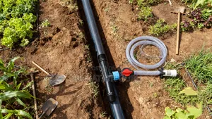 Piston Pump System