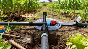 Metering Injector Fertilizer