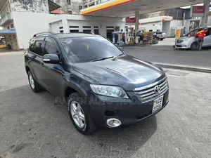 Toyota Vanguard 2008 Gray
