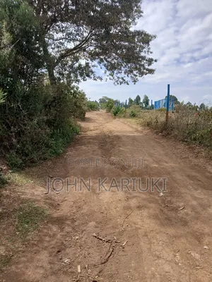 50x100 Plots in Naivasha Nyamathi 900 Metres From the Tarmac Road