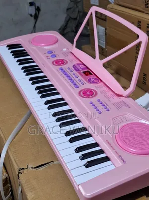 Professional Piano With in Built Battery
