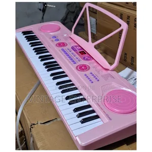 Professional Piano With in Built Battery