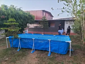 Backyard Swimming Pool