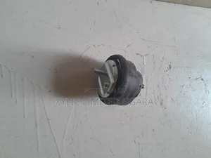 BMW E46 Front Engine Mounting