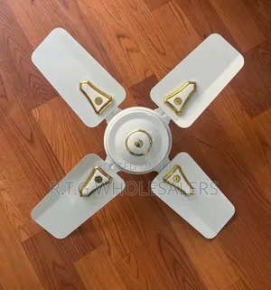 Roch 24 Inches Ceiling Fan