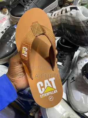 Cat Flipflops Sandals