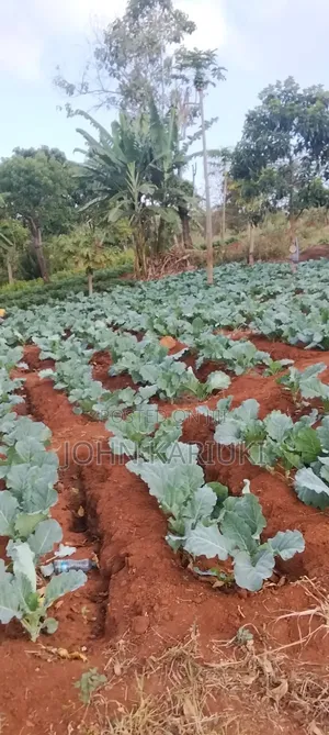 14 Acres of Land in Embu Donbosco Area Good for Farming and Retirement