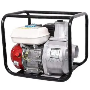 Windsor Gasoline Water Pump