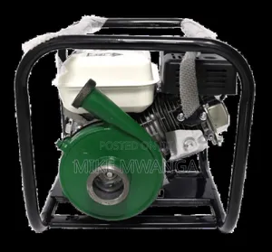 Windsor Gasoline Water Pump