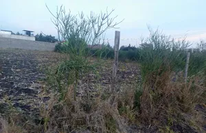Plot for Sale in Ruai