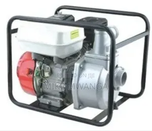 Windsor Gasoline Water Pump