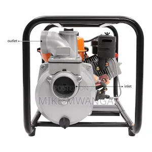 Windsor Gasoline Water Pump