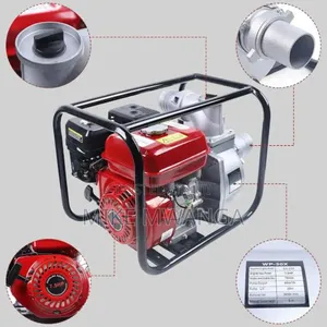Windsor Gasoline Water Pump