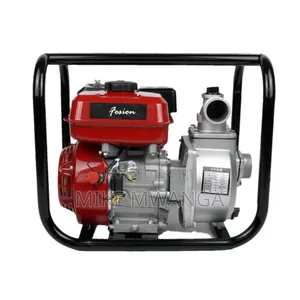 Windsor Gasoline Water Pump