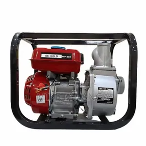Windsor Gasoline Water Pump
