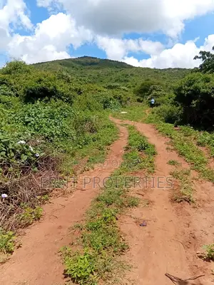 Prime 7 Acres of Fertile Land in Sultan Hamud -Ready for Farming!