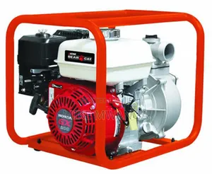 Windsor Gasoline Water Pump