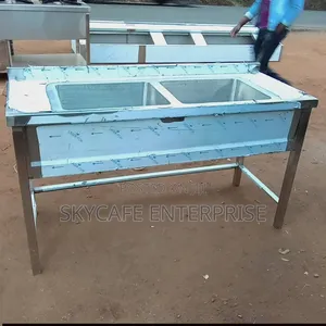 Modern Stainless Double Bowl Sink