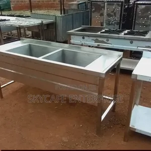 Modern Stainless Double Bowl Sink