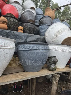 Lemon Cypress Tree Pot,Claypots