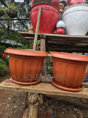 Plastic Flowerpots With a Plate