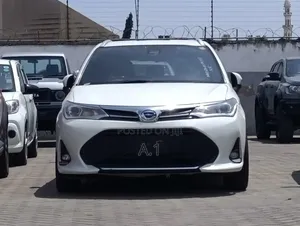 Toyota Corolla Fielder 2019 Pearl