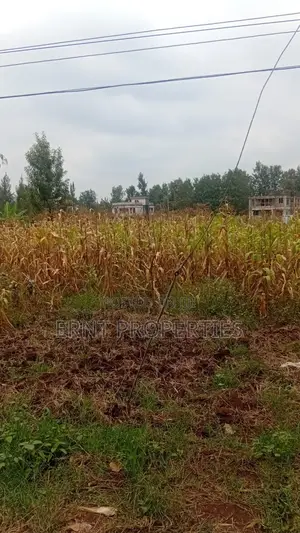Prime Residential Half Acre for Sale in Kamiti Road