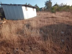 Plot for Sale