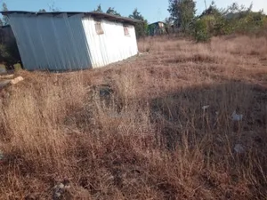 Plot for Sale