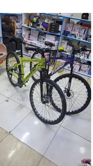 Ecarpat Size 26 Mountain Bike With Gear