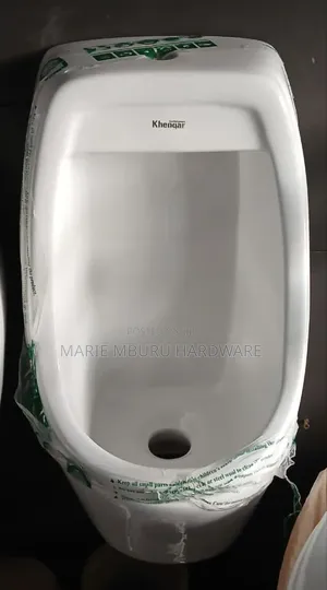 Big Urinal Bowl
