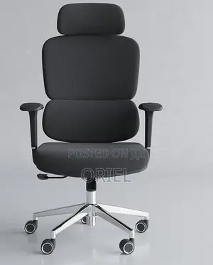 Office Chairs; High-Back Orthopedic Executive Seating Solution