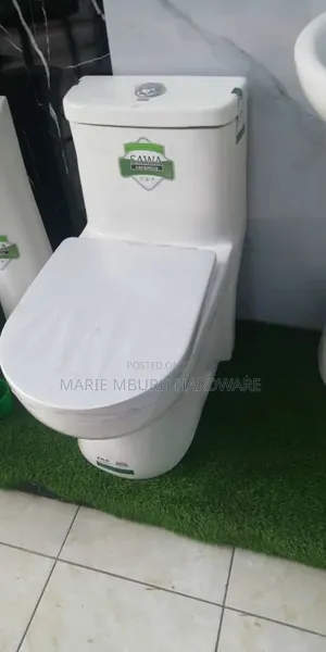 P Trap One Body Toilet