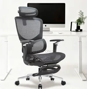 Office Chairs; Corporate Orthopedic Executive Office Armchair