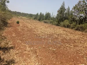 Land for Lease in Bondo(3 Acres)